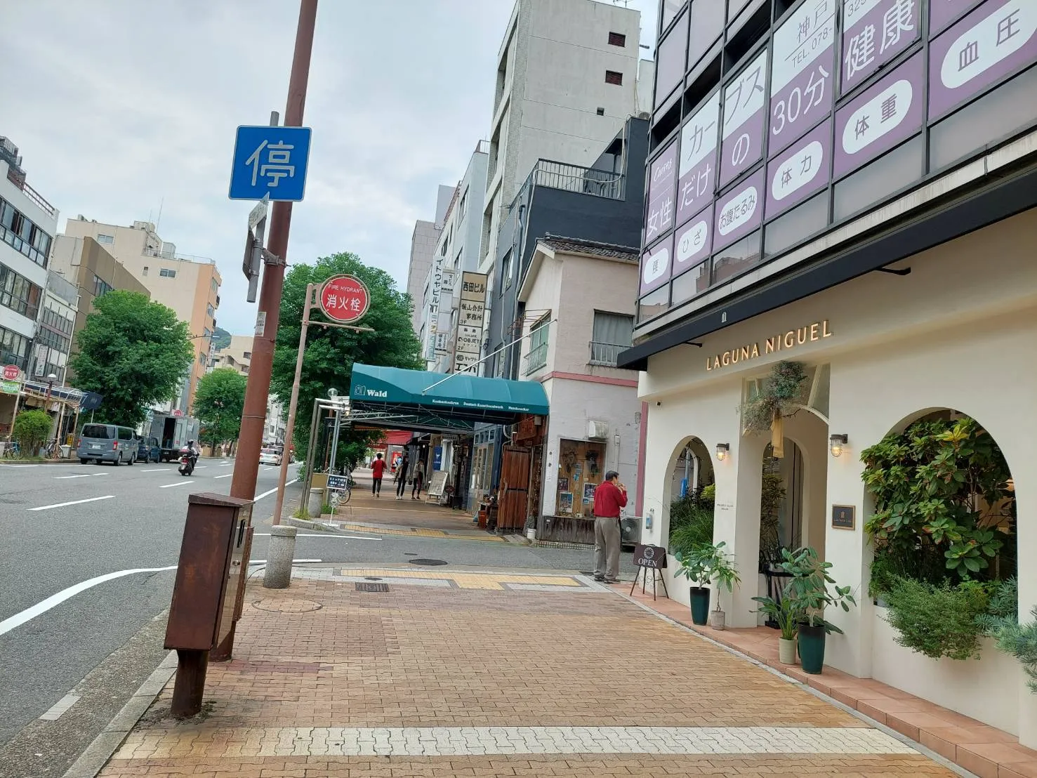 鯉川筋