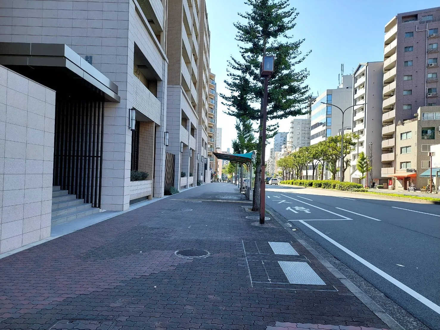 山手幹線沿い