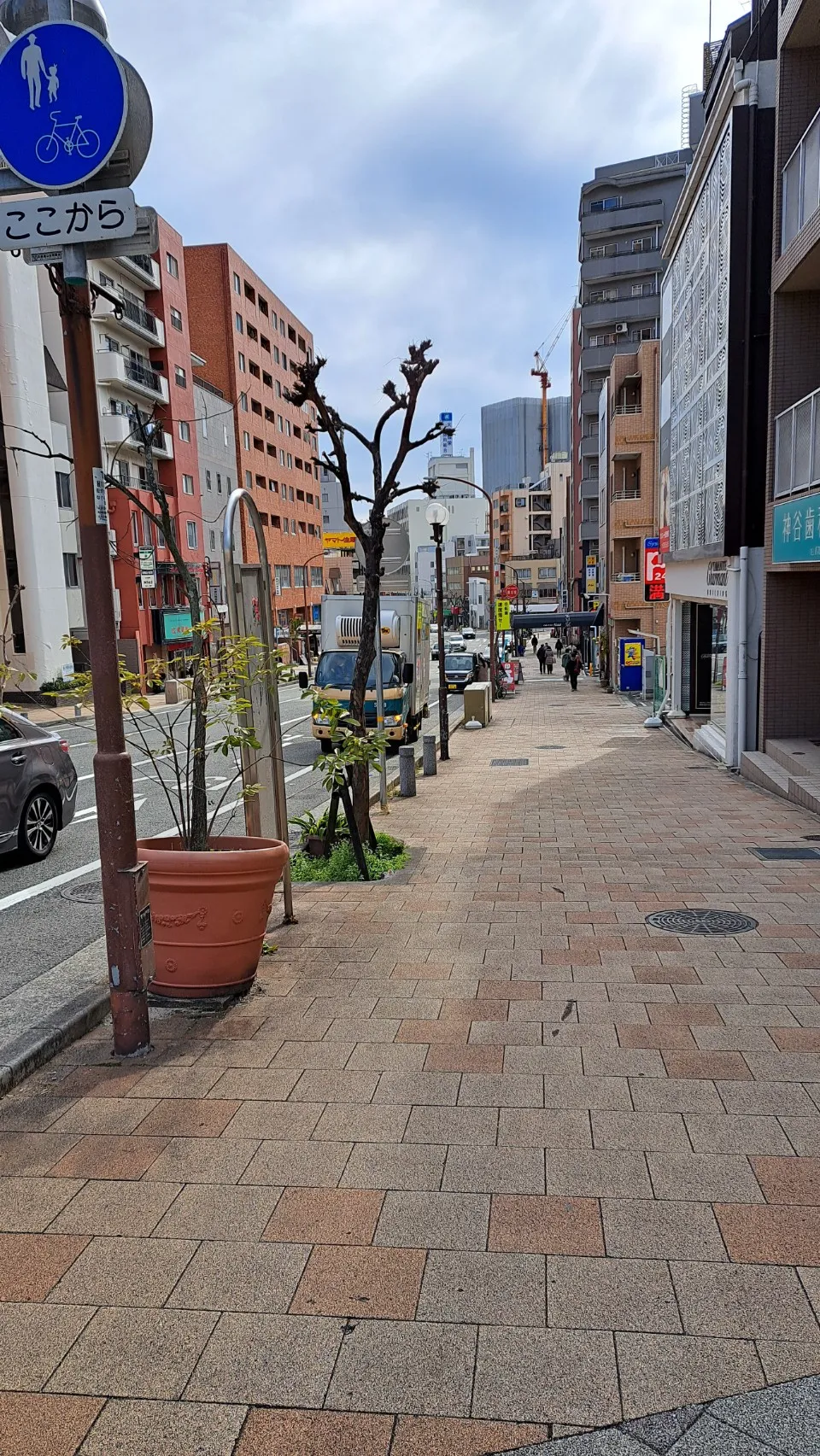 鯉川筋