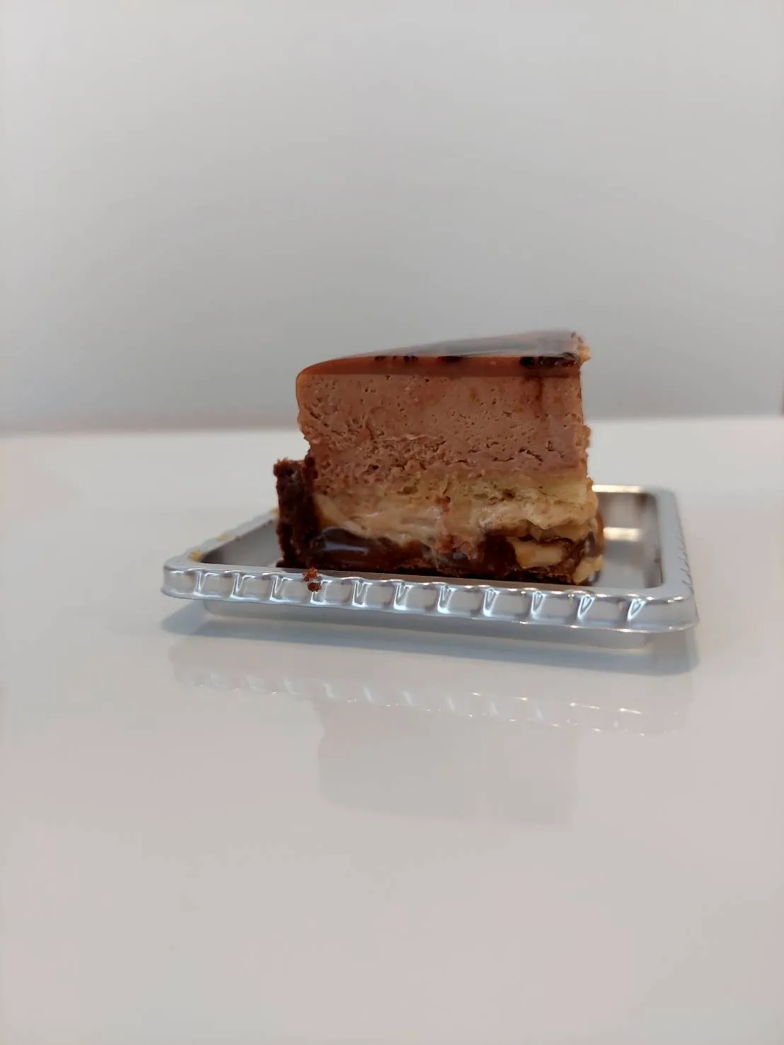 セギュール断面