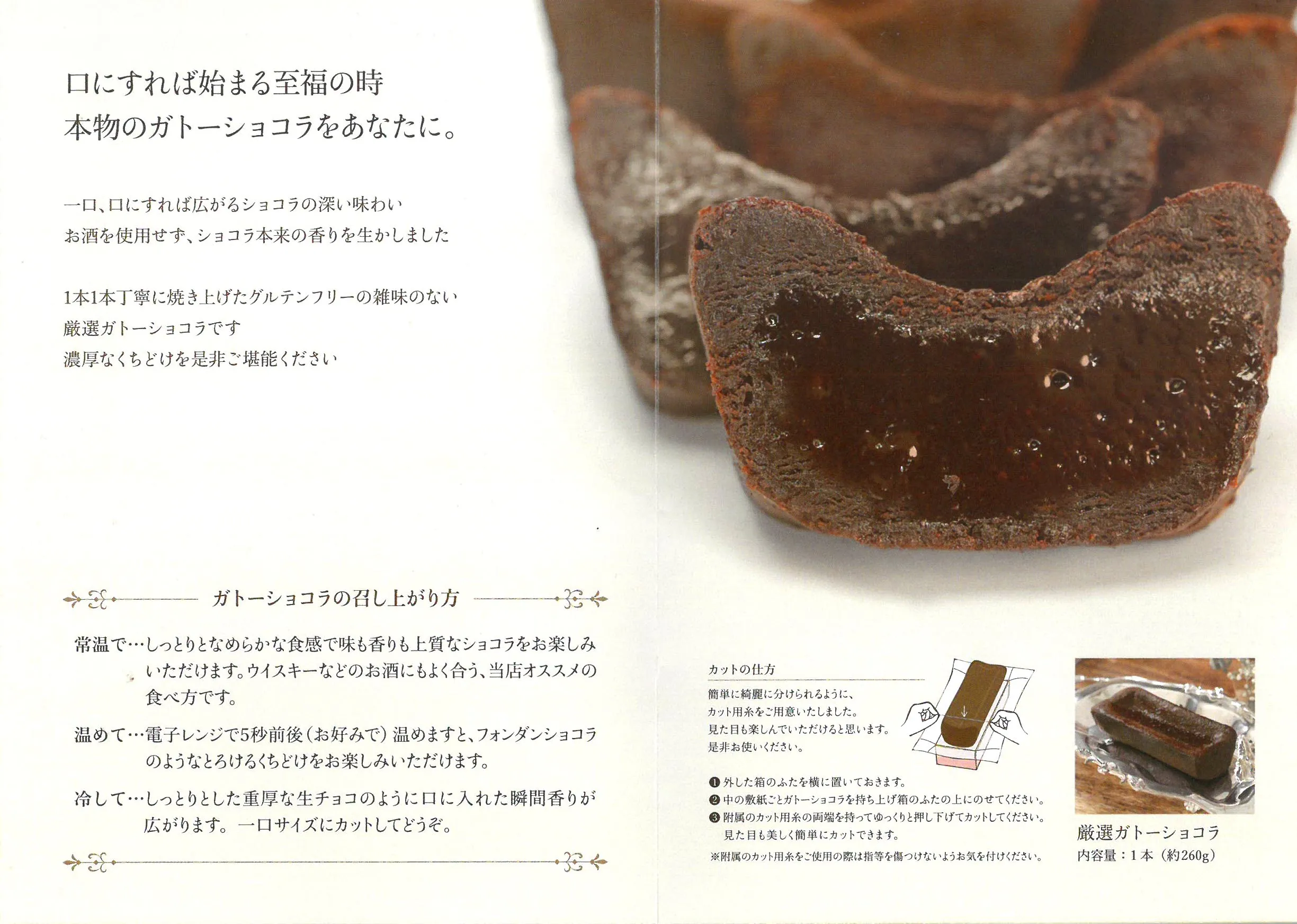 パンフレット