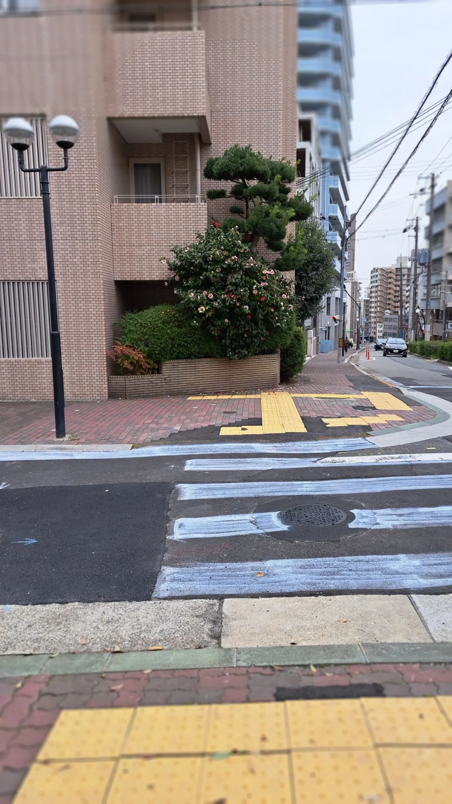 横断歩道