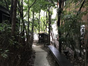 IMG_0312