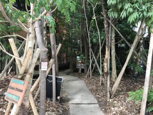 IMG_0314