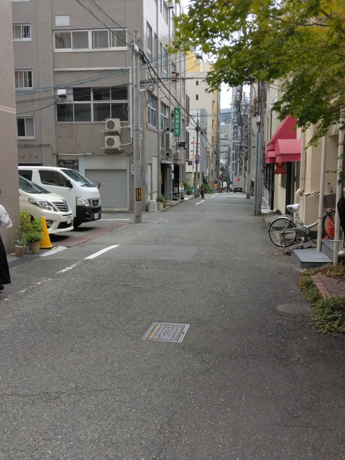 南へ