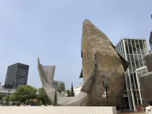 IMG_9904