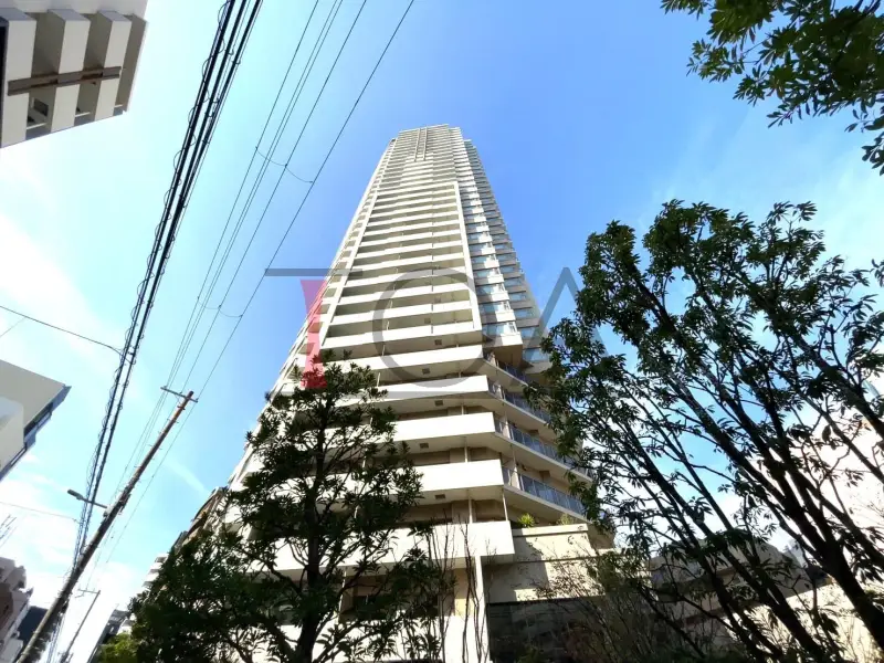 グランドメゾン上町台レジデンスタワー 北西からの外観